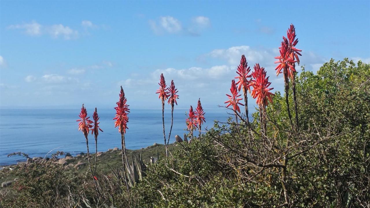 Onze Uitsight Cottage St Helena Bay Zewnętrze zdjęcie